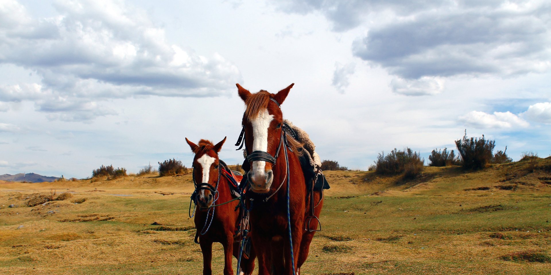 horseback treks to machu picchu