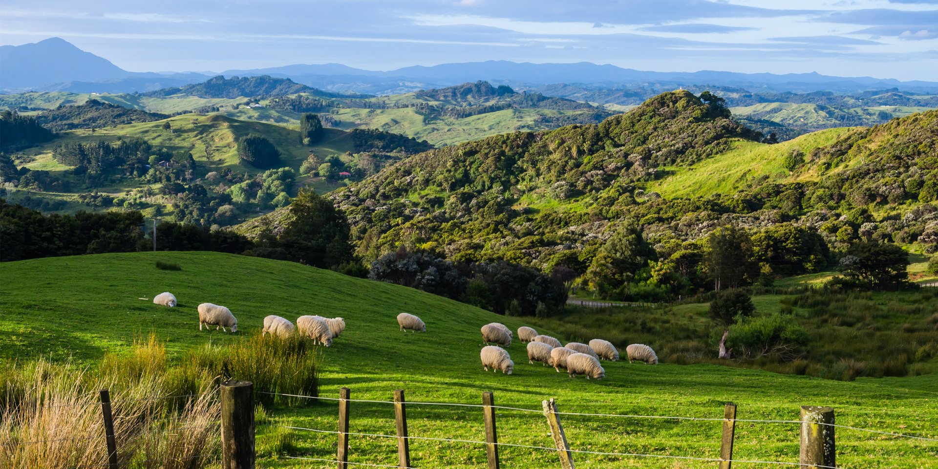 Wharekauhau Country Estate new zealand