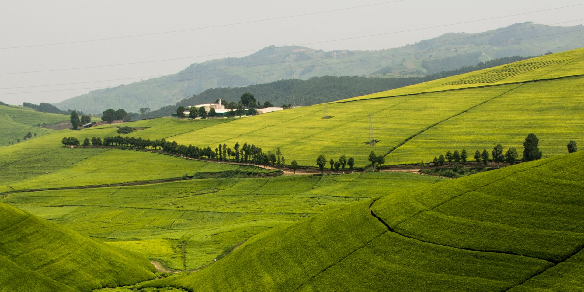 rwanda is the land of a thousand hills