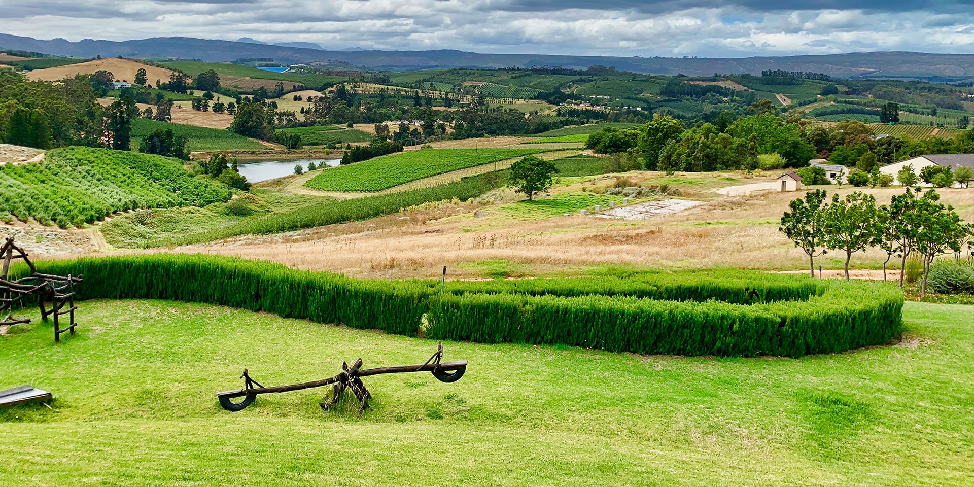 The Cape Wine Lands