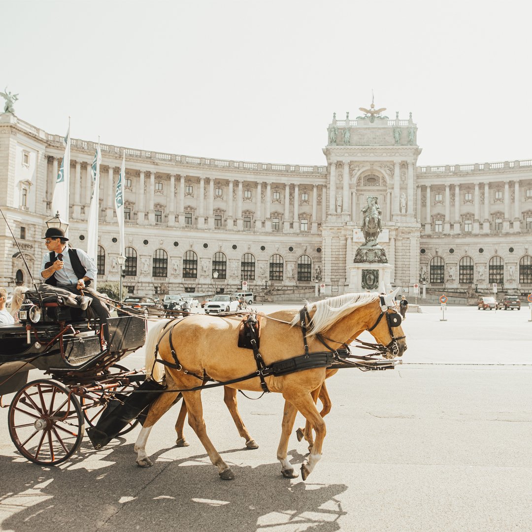 Ride in a horse and carriage in alte hofburg, Vienna Austria