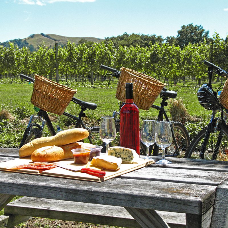 vintage new zealand wines and foods