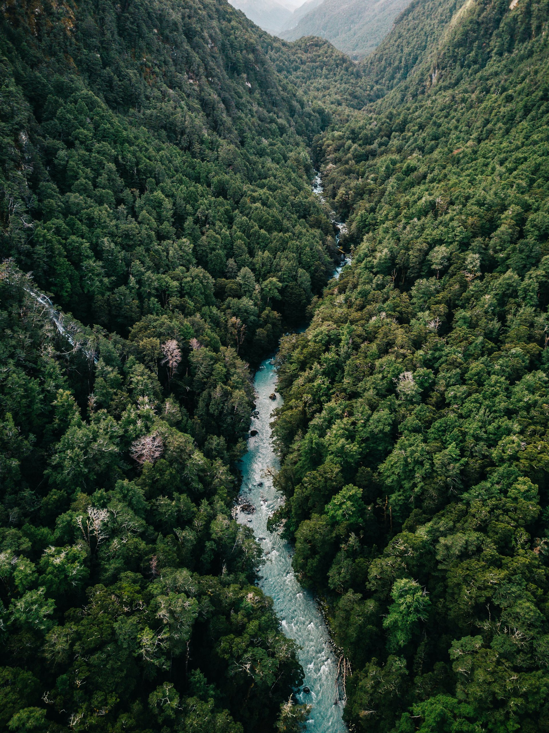 shotover river, new Zealand