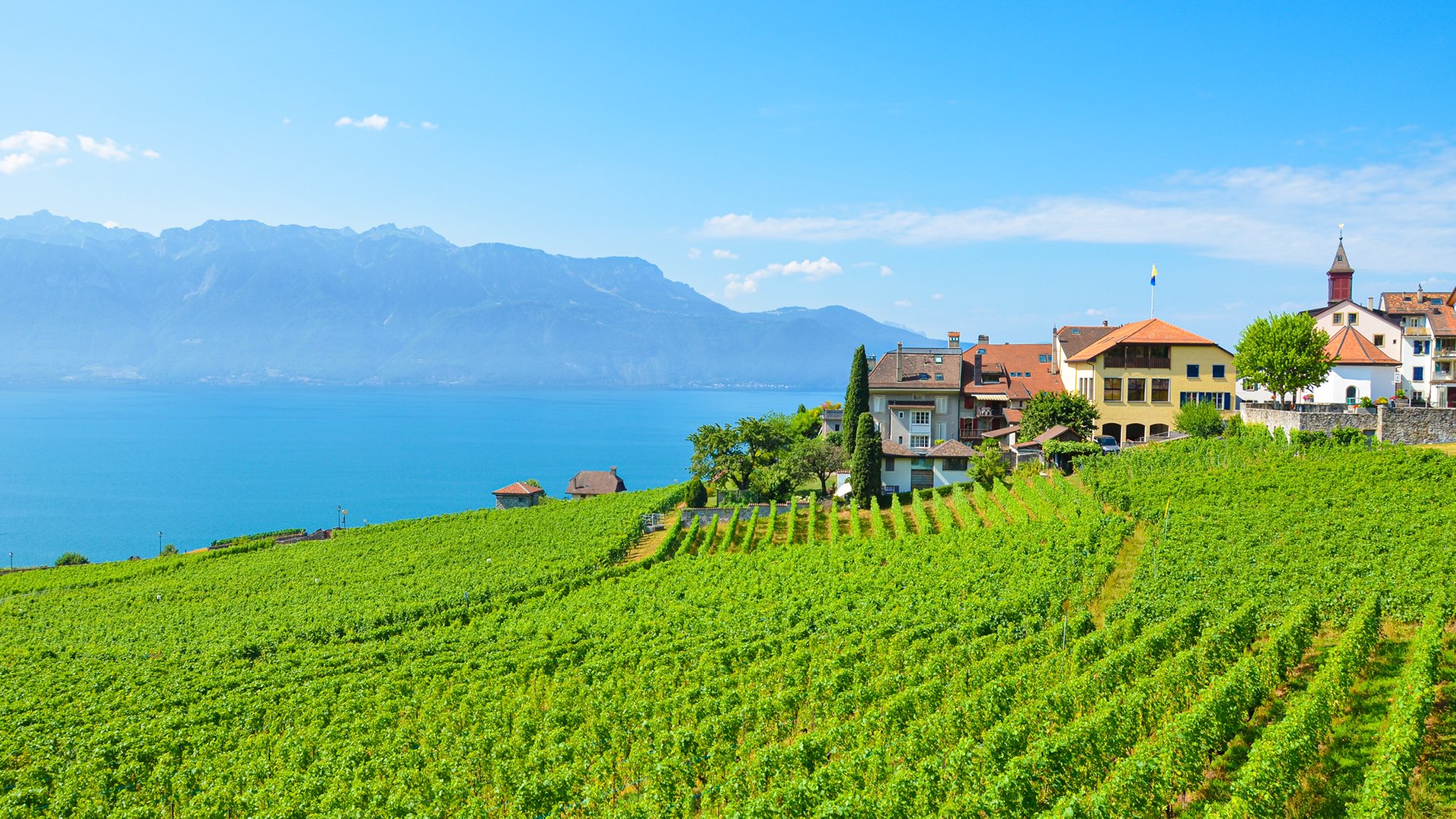 Rivaz village, Lavaux wine region, swiss alps, Switzerland