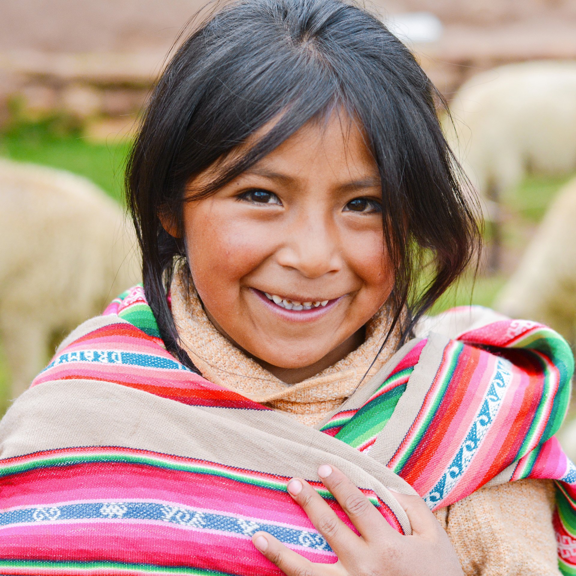 immerse yourself in the local Peruvian culture