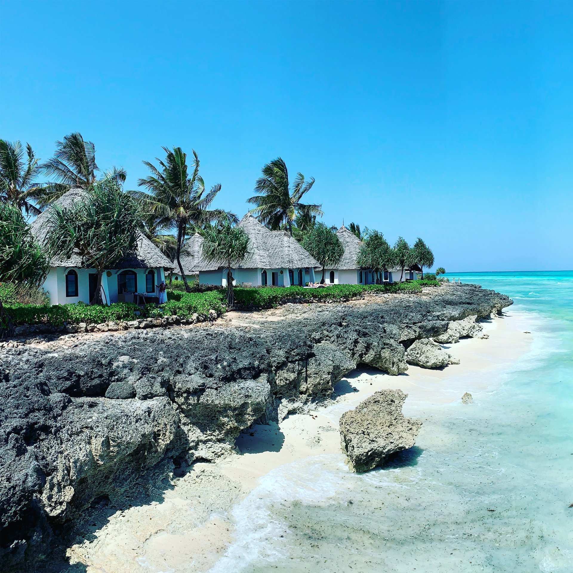 the coast of Zanzibar, Tanzania Tour