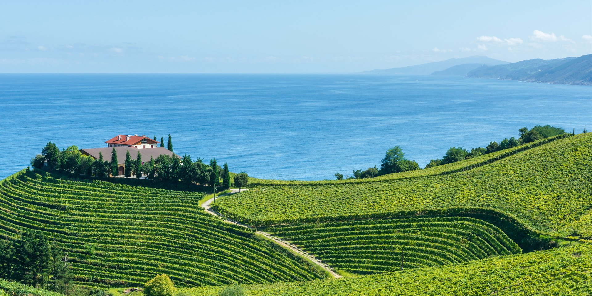 visit a Basque country vineyard on your Spain vacation
