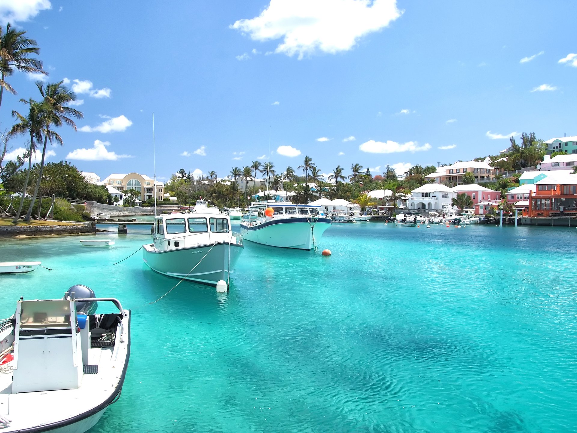 Bermudian harbor